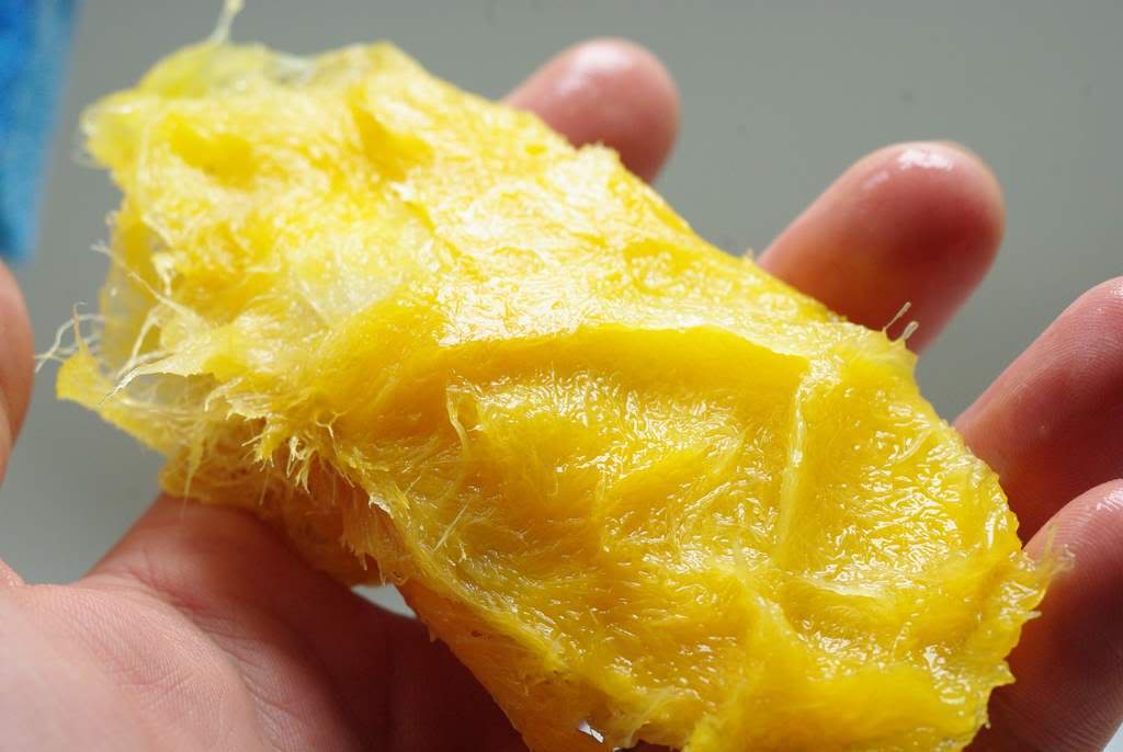 it-s-not-work-it-s-gardening-mango-seed